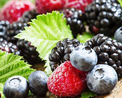 藍(lán)莓、樹莓、草莓飲料生產(chǎn)線