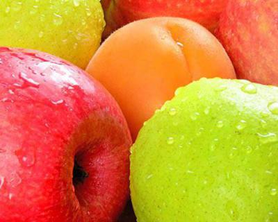 蘋果、梨加工生產(chǎn)線